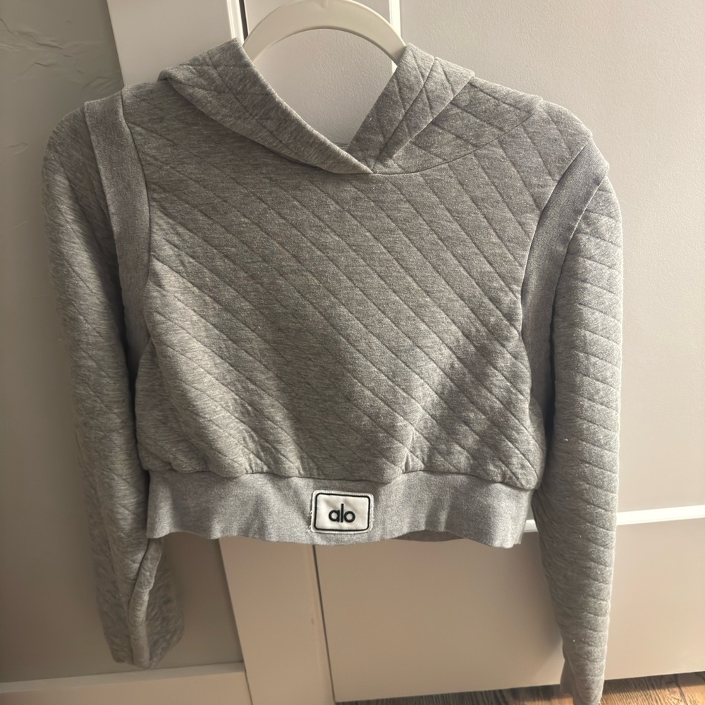 Alo grey cropped hoodie! no tag but it’s either an xs or small!